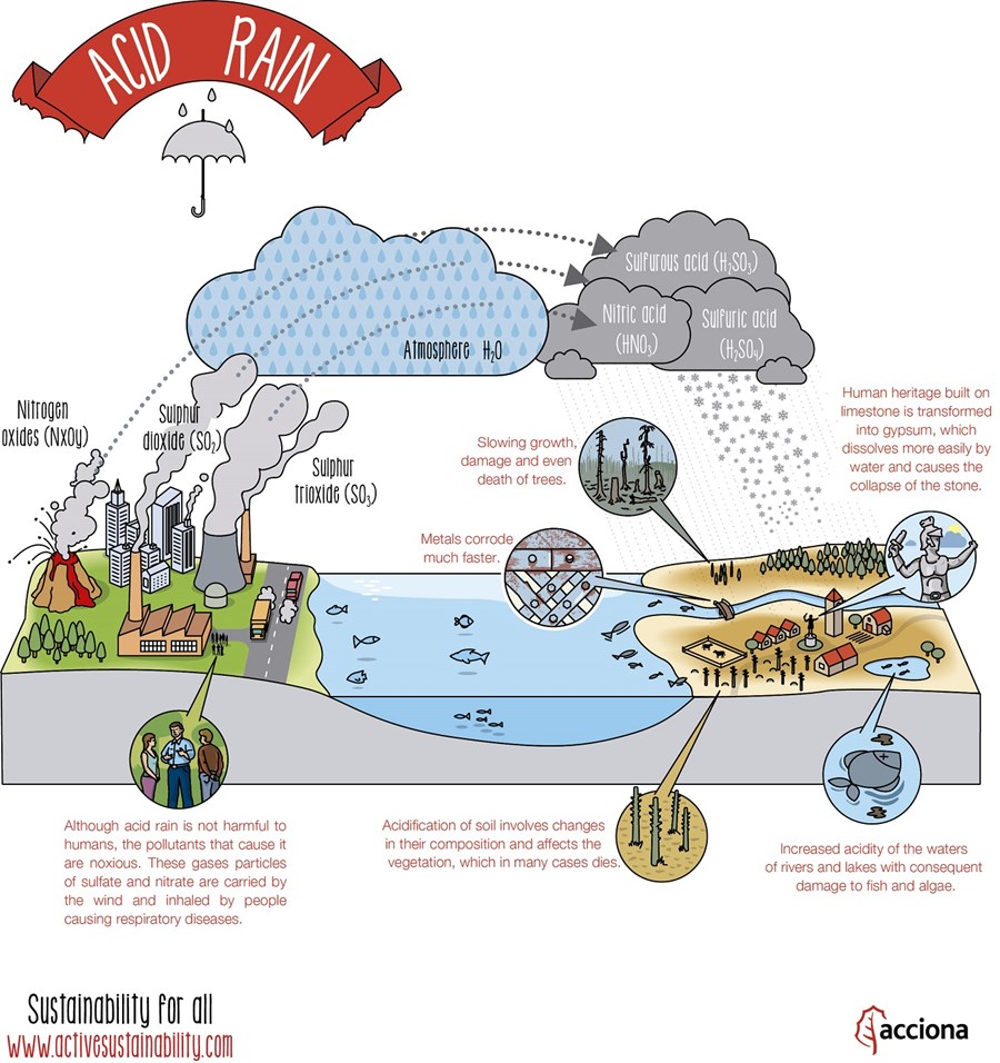 acid rain the southern company Free pdf ebooks (user's guide, manuals, sheets) about acid rain southern company case ready for download. acid rain the southern company Free pdf ebooks (user's guide, manuals, sheets) about acid rain southern company case ready for download.